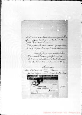 Fotogramma C 1