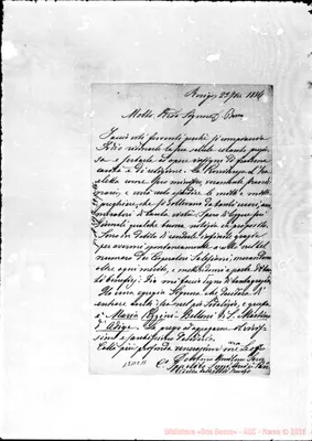 Fotogramma C 11