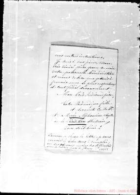 Fotogramma E 5