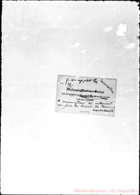 Fotogramma E 4