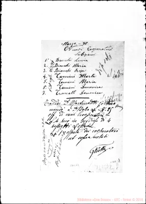 Fotogramma E 2