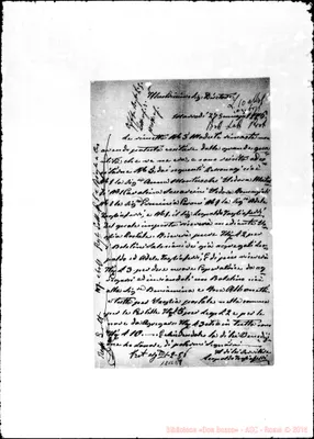 Fotogramma E 8