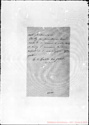 Fotogramma B 8