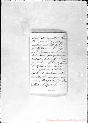 Fotogramma D 11