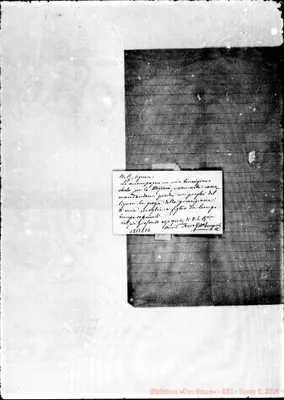 Fotogramma C 10