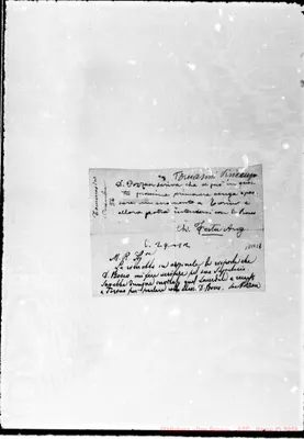 Fotogramma C 1
