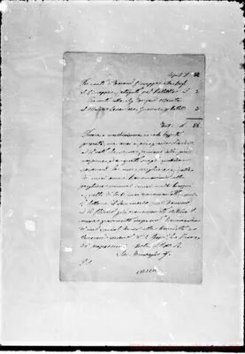 Fotogramma C 11