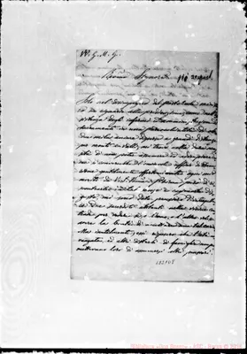 Fotogramma D 8
