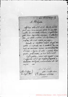 Fotogramma D 11