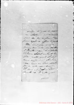 Fotogramma C 11