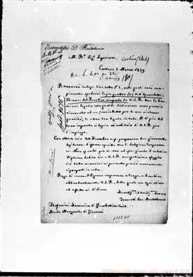 Fotogramma D 11