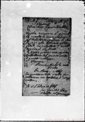 Fotogramma C 11