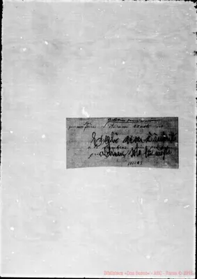 Fotogramma C 3