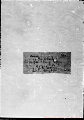 Fotogramma C 4