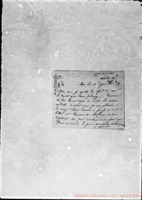 Fotogramma D 11