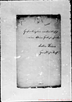Fotogramma D 6