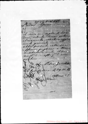 Fotogramma E 8