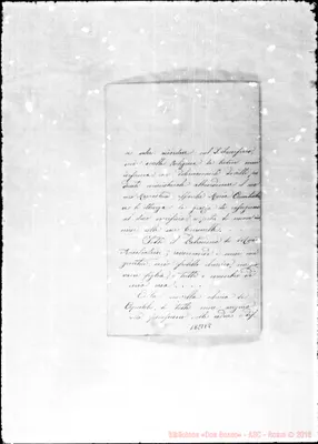 Fotogramma E 8