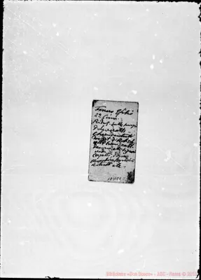Fotogramma C 1