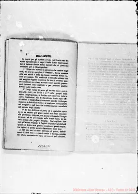 Fotogramma C 11