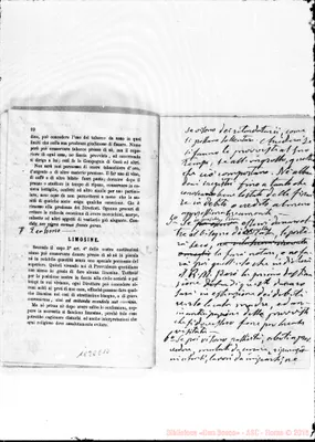 Fotogramma E 10