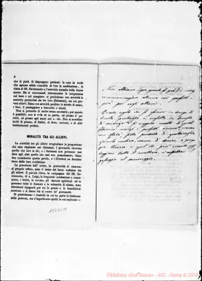 Fotogramma E 11