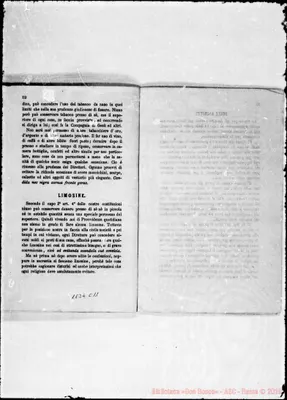 Fotogramma C 11