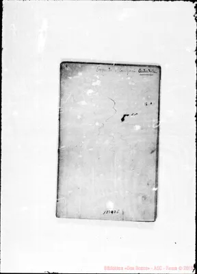 Fotogramma D 5