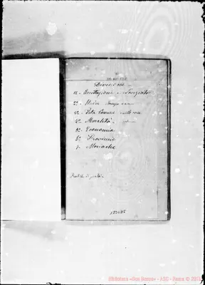 Fotogramma D 8