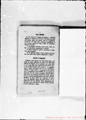 Fotogramma D 9