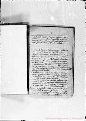 Fotogramma D 10