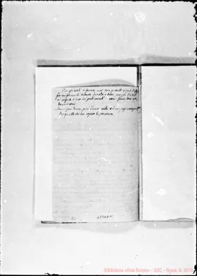 Fotogramma D 11
