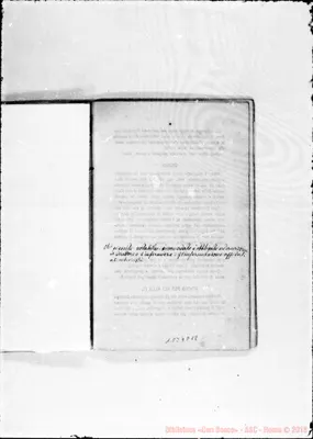 Fotogramma D 12