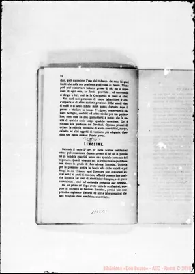 Fotogramma B 2