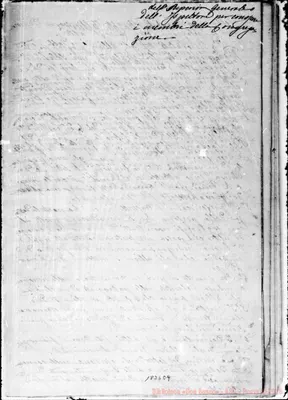 Fotogramma E 9