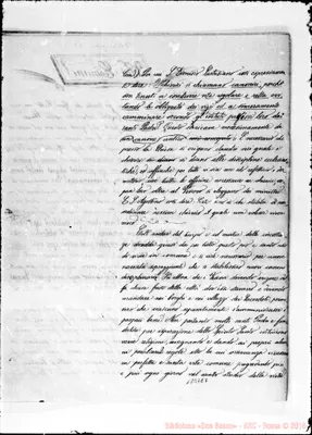 Fotogramma E 7