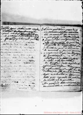 Fotogramma C 11