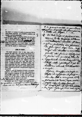 Fotogramma D 7