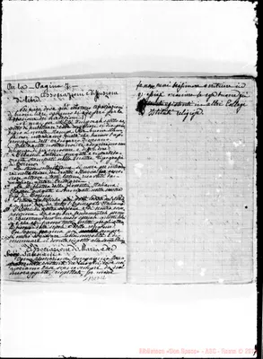 Fotogramma D 12