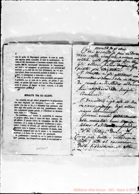 Fotogramma E 8