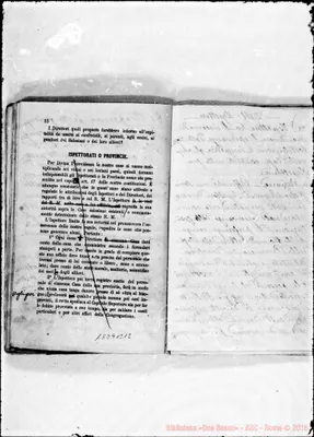 Fotogramma B 12