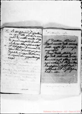 Fotogramma D 11