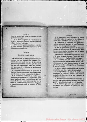 Fotogramma D 3