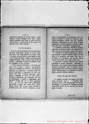Fotogramma D 7