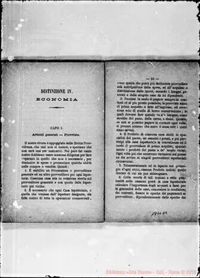 Fotogramma D 9