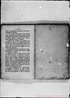 Fotogramma C 8