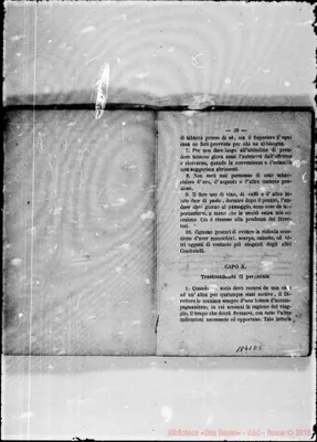 Fotogramma D 5