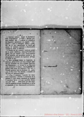 Fotogramma D 8