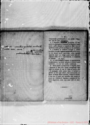 Fotogramma D 9