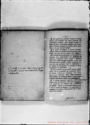 Fotogramma D 11